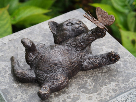 Kitten With Butterfly