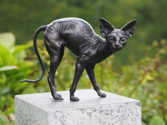 Standing Sphynx Cat