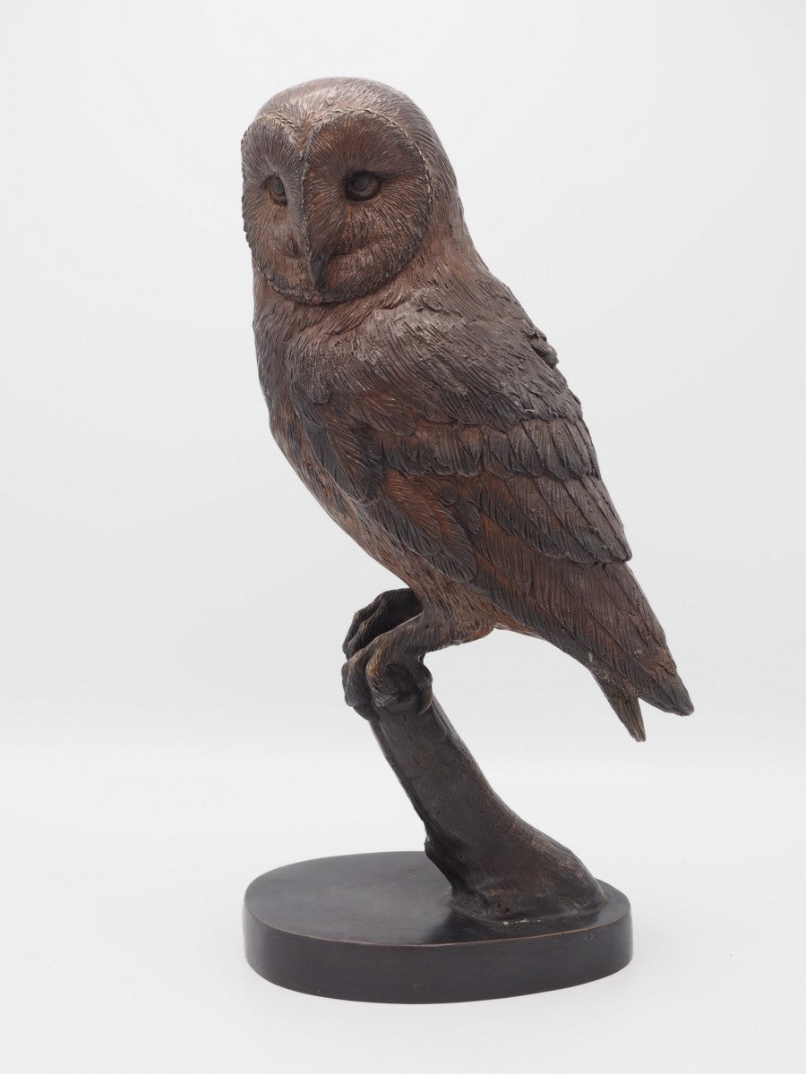 Owl On Tree