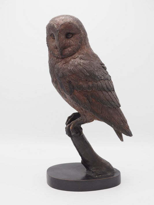 Owl On Tree