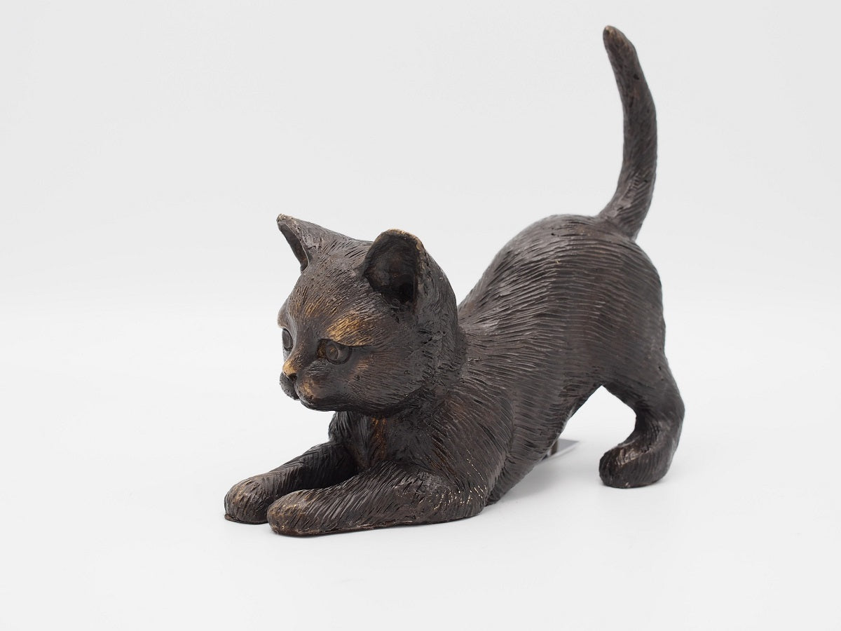 Kitten Laying Down