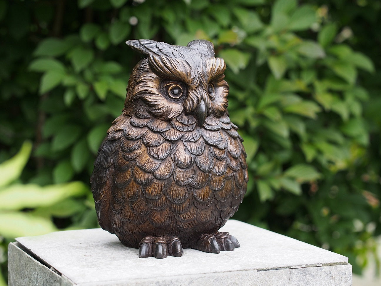 Owl