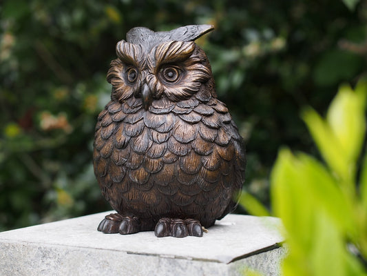 Owl