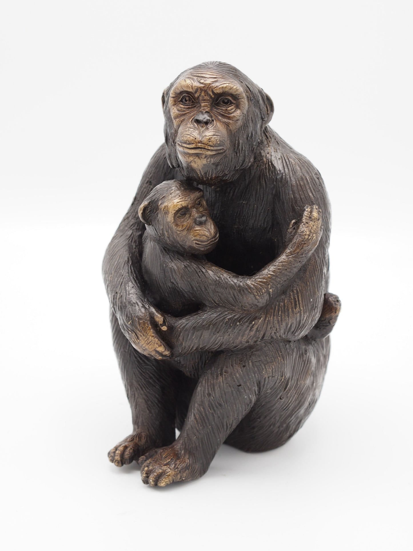 Monkey With Baby