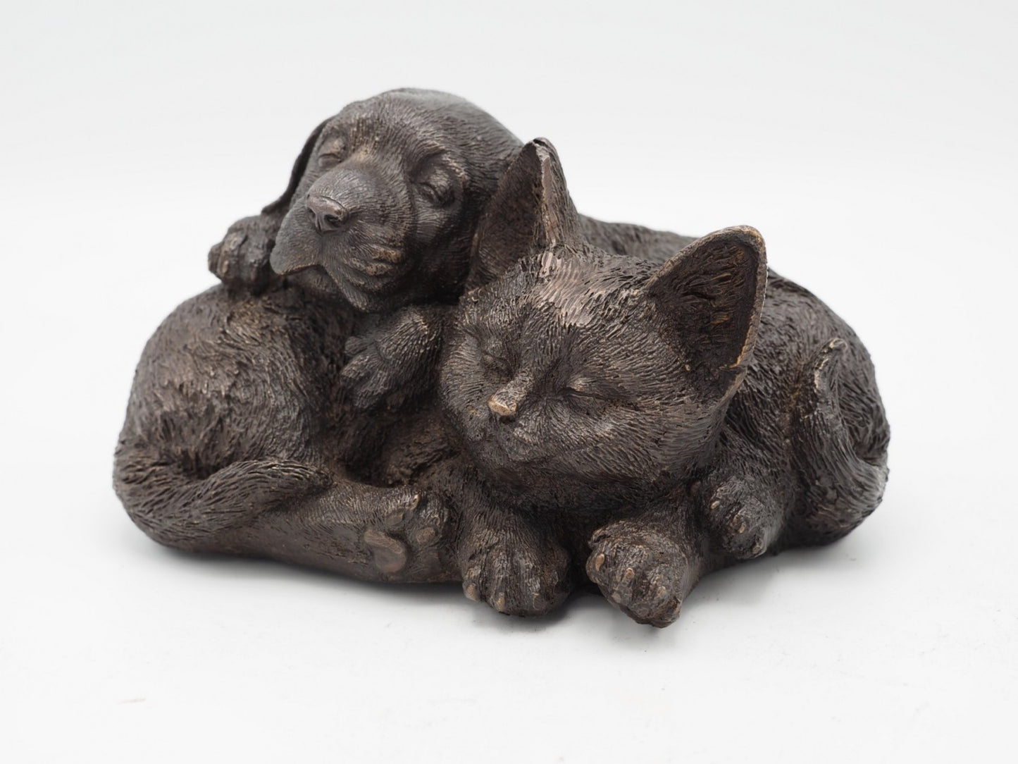 Cat and Dog