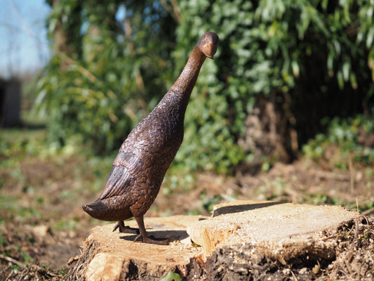 Standing duck