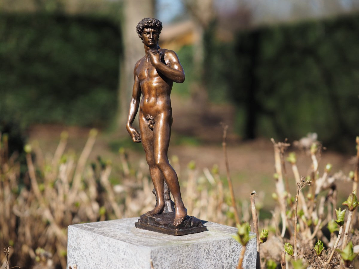 David by Michelangelo 30cm