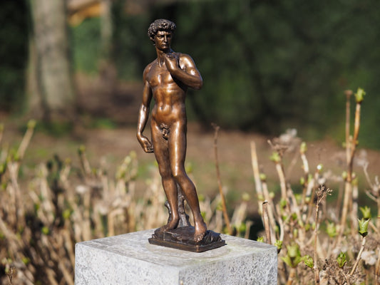 David of Michelangelo 40cm