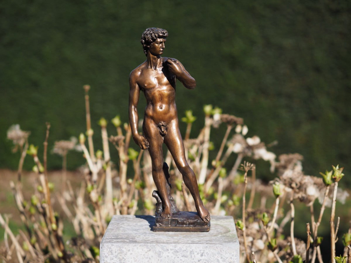 David of Michelangelo 40cm