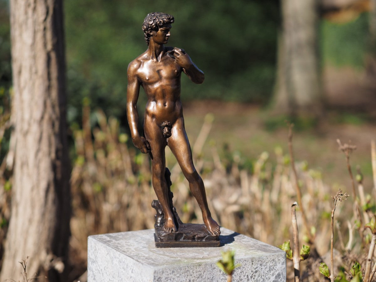 David by Michelangelo 30cm