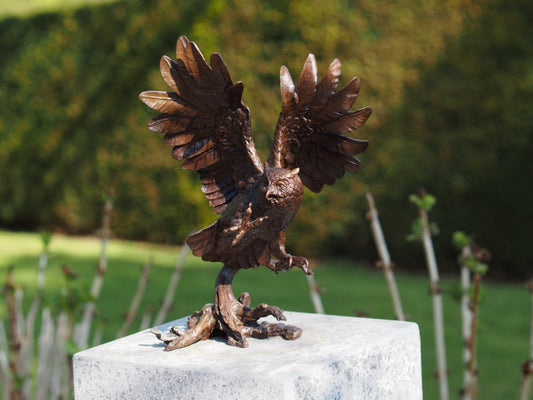 Flying Owl
