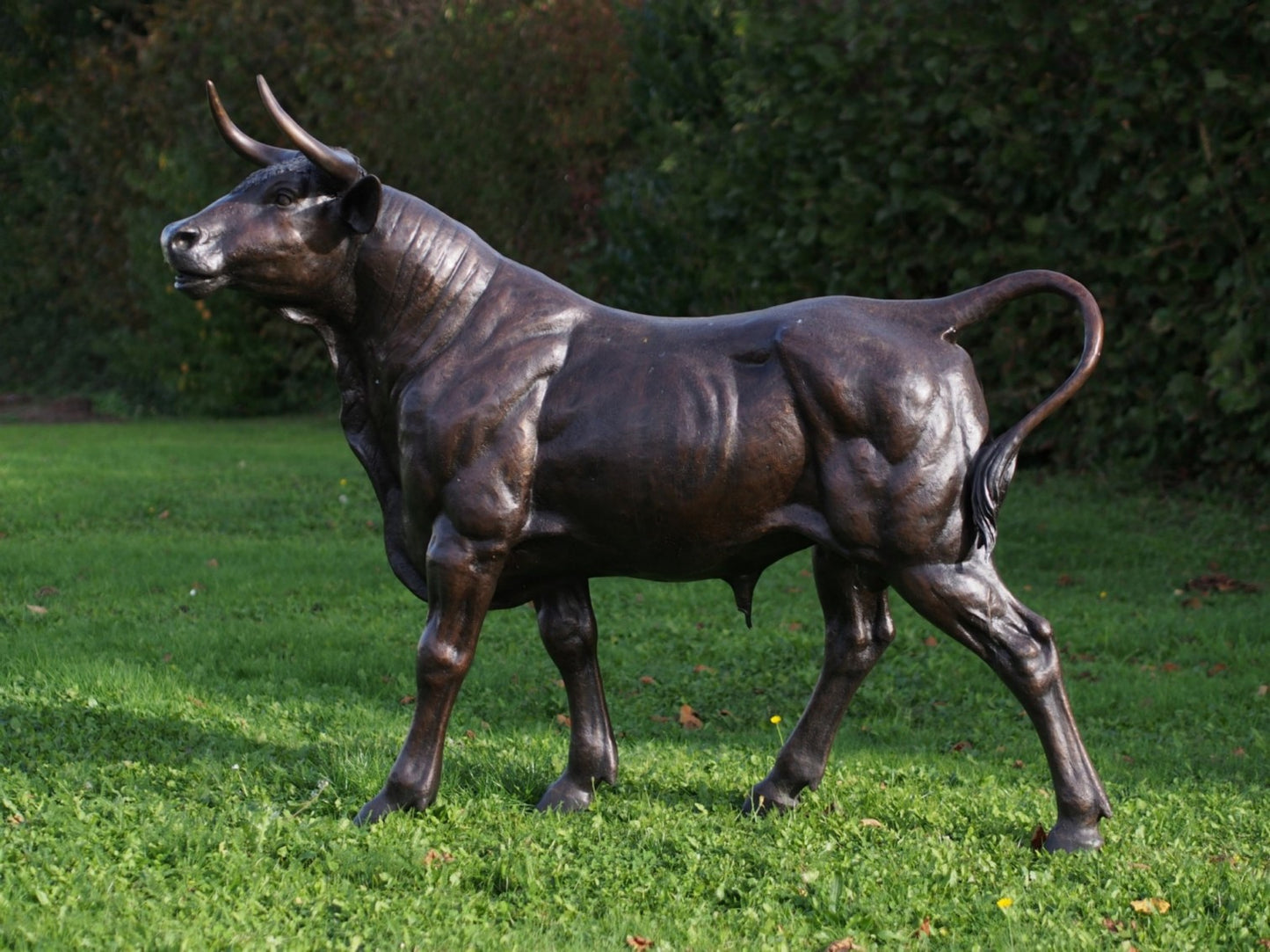Bull