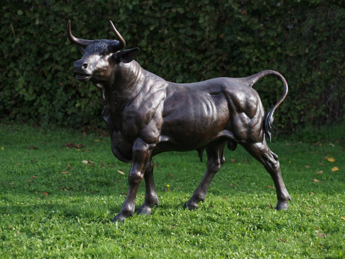 Bull
