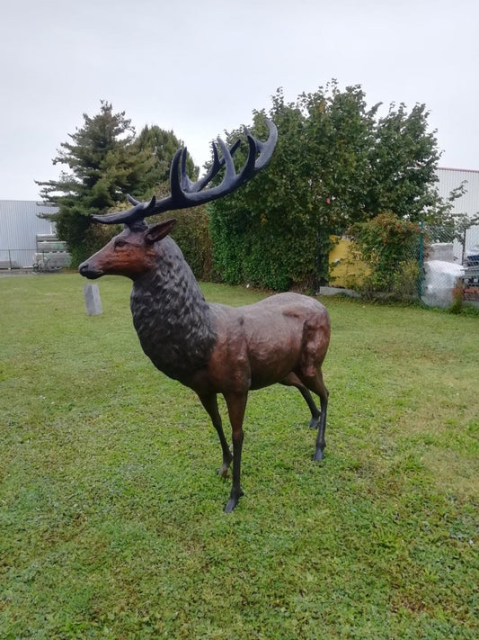 Standing Deer Life Size