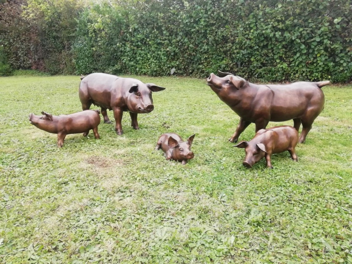 Pig