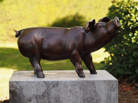 Piglet