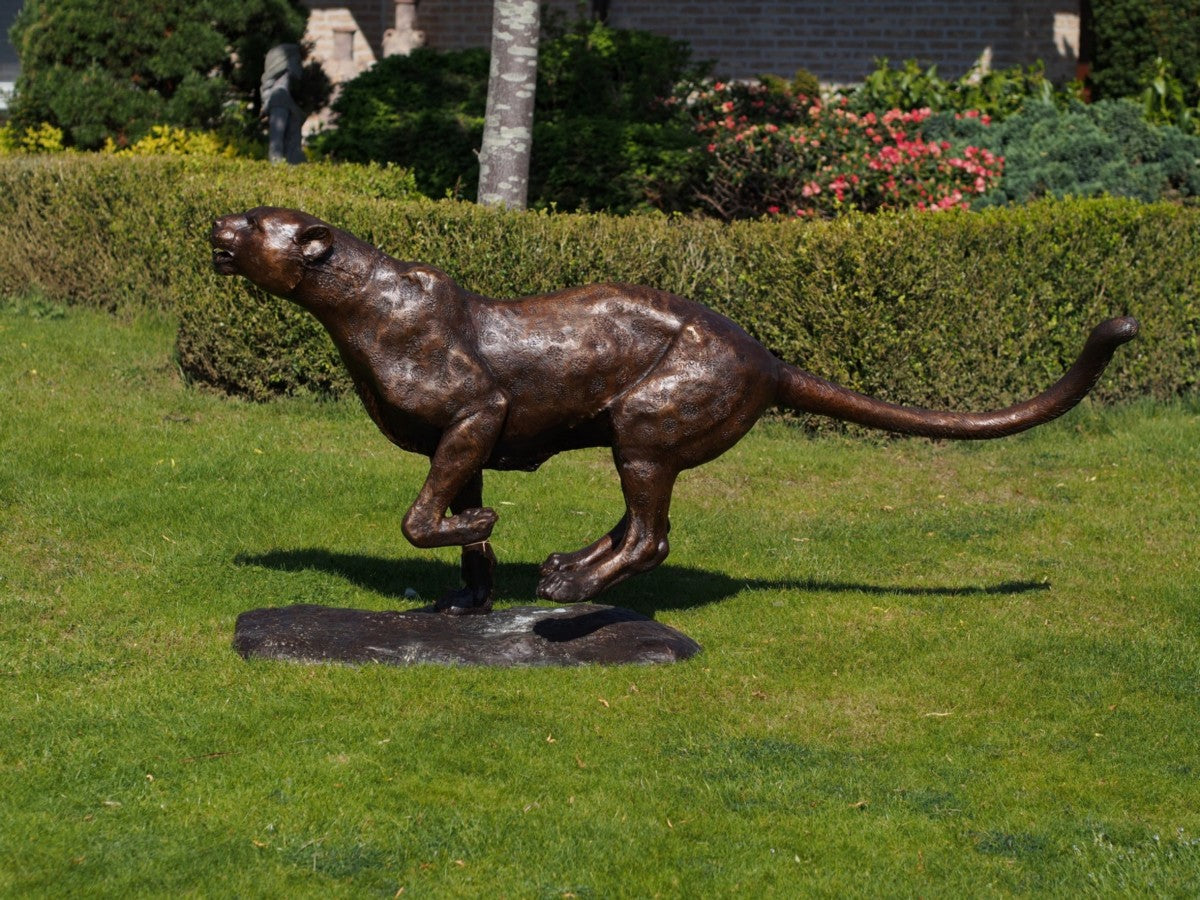 Running Cheetah