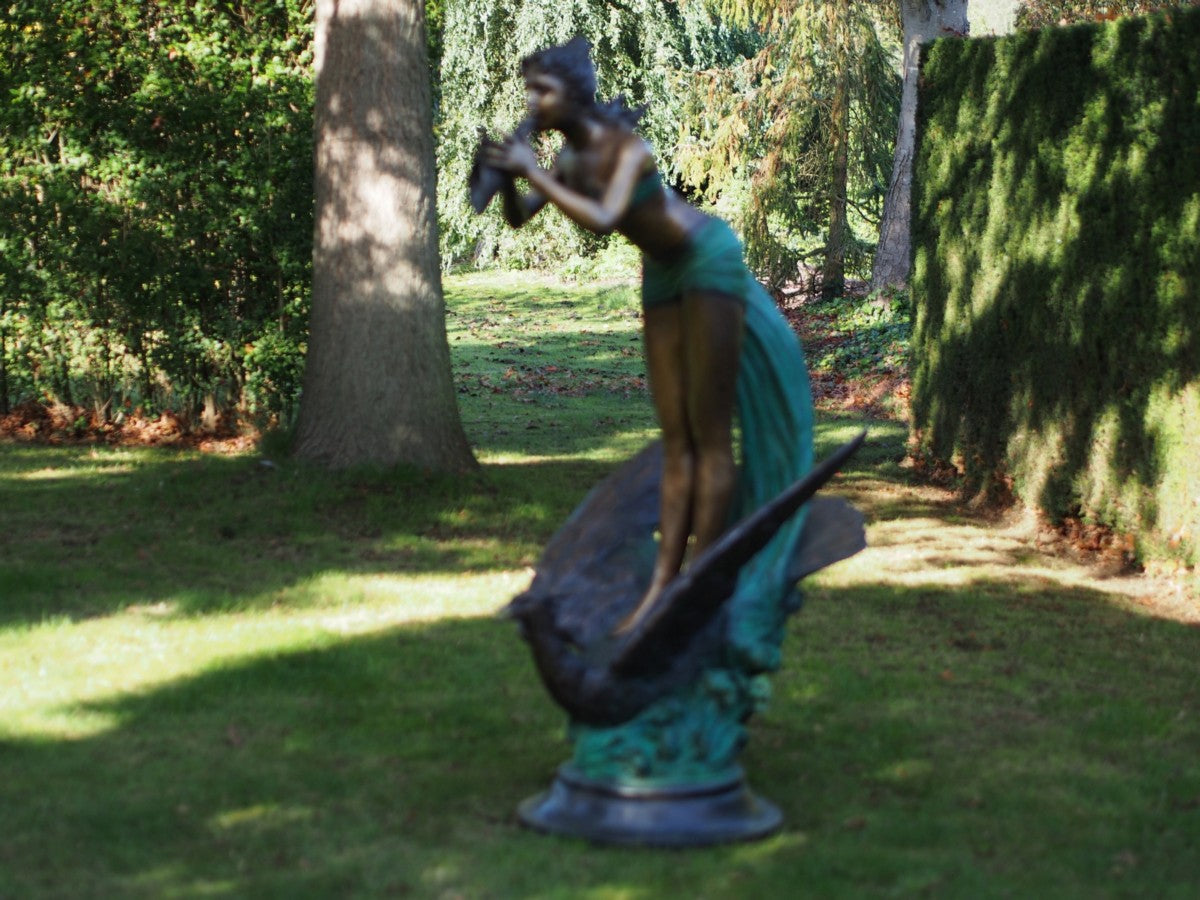 Woman On Bird