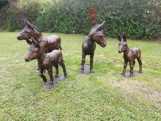 Donkey